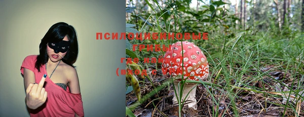 дмт Беломорск