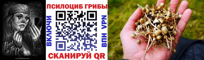 Галлюциногенные грибы мухоморы  наркошоп  Горняк 